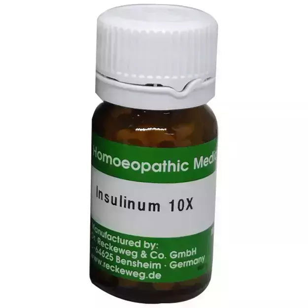 Dr. Reckeweg Insulinum 10X (20g) - Golden-Patel Son