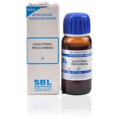 SBL Gaultheria Procumbens 1X (Q) (30ml) - Golden-Patel Son