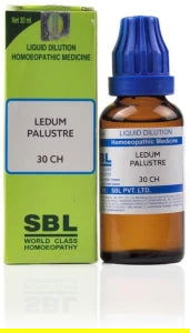 SBL Ledum Palustre 30 CH (30ml) - Golden-Patel Son