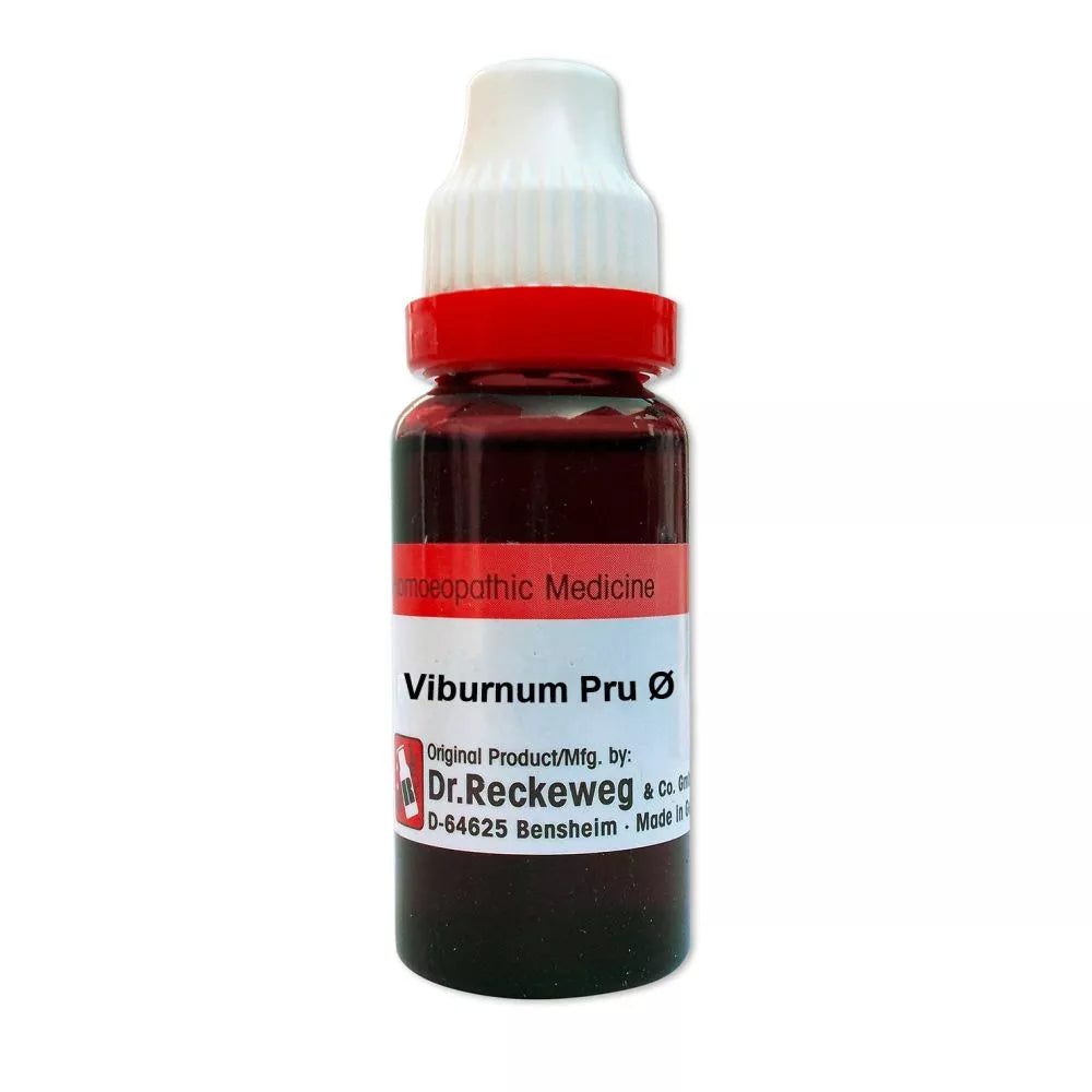 Dr. Reckeweg Viburnum Prunifolium Q (MT) - 20ml Golden-Patel & Son
