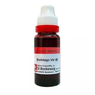 Dr. Reckeweg Solidago Virgaurea Q (MT) - 20ml Golden-Patel & Son