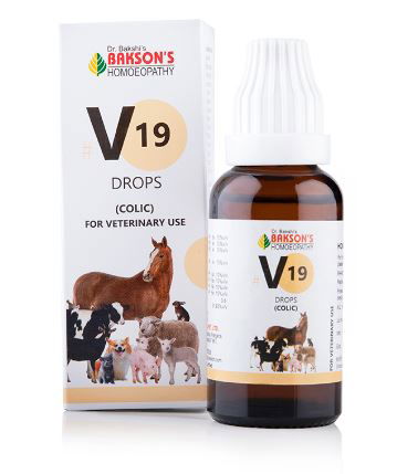 Bakson's V19 Colic Drops - Golden-Patel Son