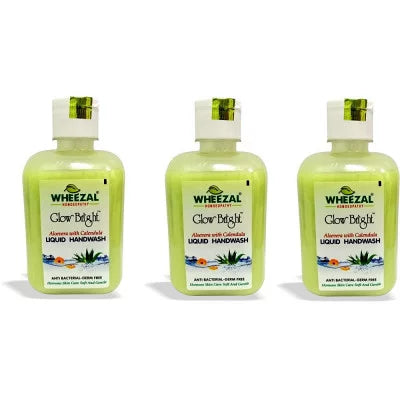 Wheezal Aloevera with Calendula Liquid Hand Wash (250ml, Pack of 3)
