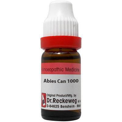 Dr. Reckeweg Abies Can - Golden-Patel Son