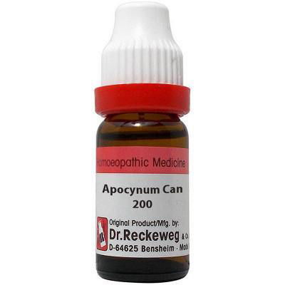 Dr. Reckeweg Apocynum Can - Golden-Patel Son