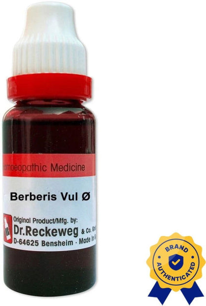 Dr. Reckeweg Berberis Vulgaris Q (MT) - 20ml - Golden-Patel Son