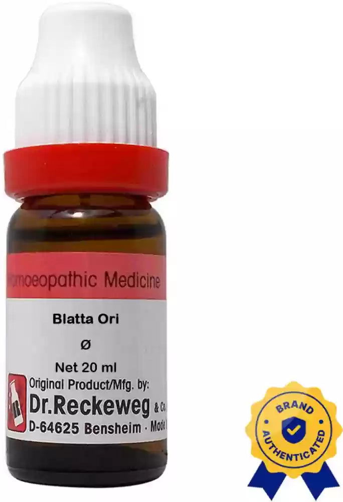 Dr. Reckeweg Blatta Orientalis Q (MT) - 20ml - Golden-Patel Son