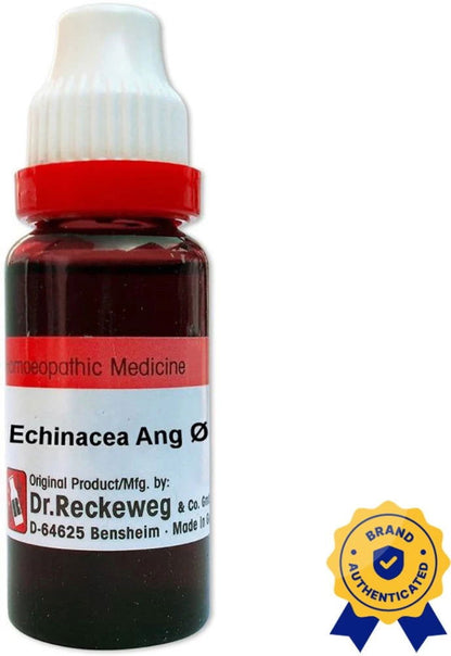 Dr. Reckeweg Echinacea Angustifolia Q (MT) - 20ml - Golden-Patel Son