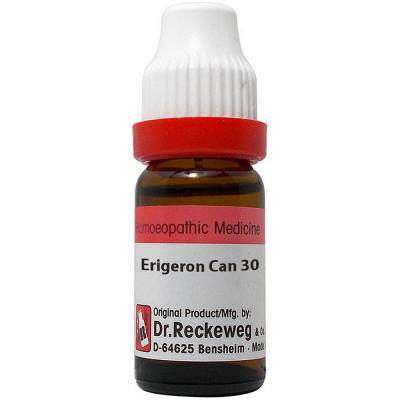 Dr. Reckeweg Erigeron Can - Golden-Patel Son