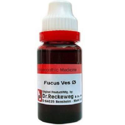 Dr. Reckeweg Fucus Vesic Mother Tincture Q - Golden-Patel Son