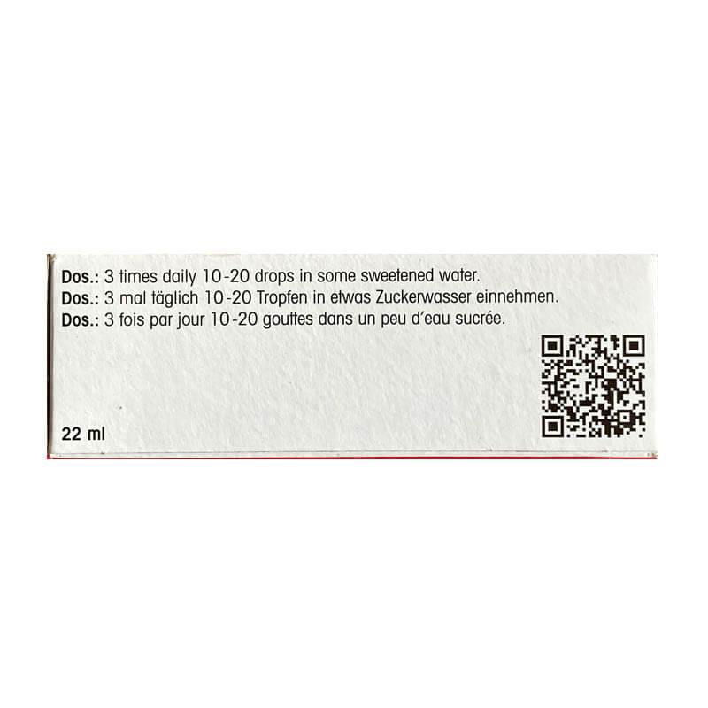 Dr. Reckeweg R14 Drop - Nerve And Sleep Drop - Golden-Patel Son