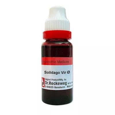 Dr. Reckeweg Spartium Scoparium Q (MT) - 20ml - Golden-Patel Son