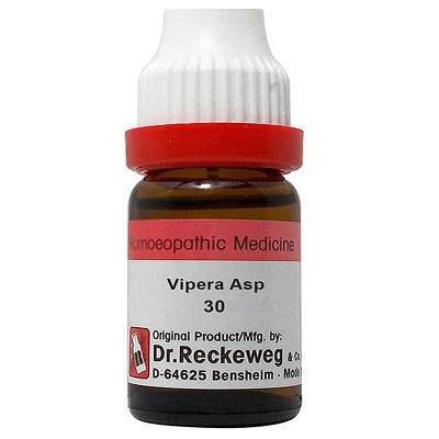 Dr. Reckeweg Vipera Asp - Golden-Patel Son