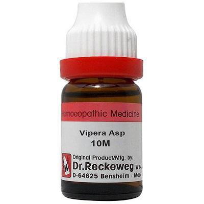 Dr. Reckeweg Vipera Asp - Golden-Patel Son