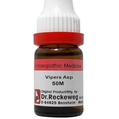 Dr. Reckeweg Vipera Asp - Golden-Patel Son