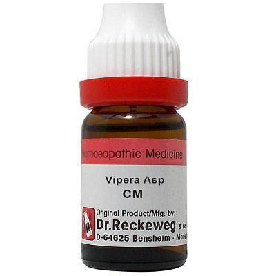 Dr. Reckeweg Vipera Asp - Golden-Patel Son