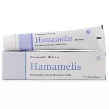 Lords Hamamelis Ointment (25g) - Golden-Patel Son