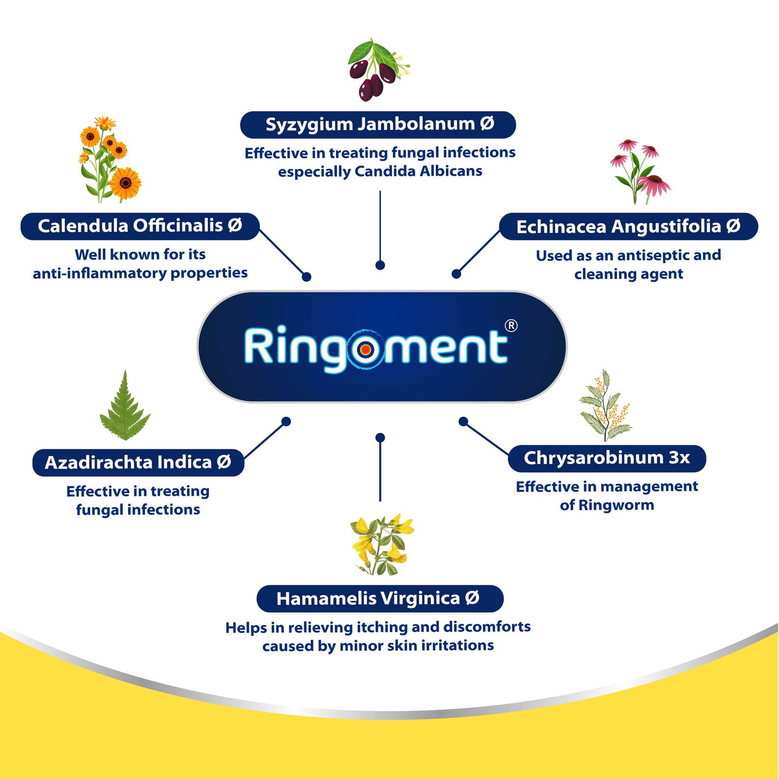 Ringoment Anti-Fungal Cream - Golden-Patel Son