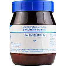 SBL Kali Muriaticum 6X (450g) - Golden-Patel Son
