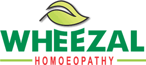 Wheezal WL-28 Piles Drops (30ml) - Golden-Patel Son