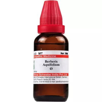 Willmar Schwabe India Berberis Aquifolium 1X (Q) (30ml) - Golden-Patel Son