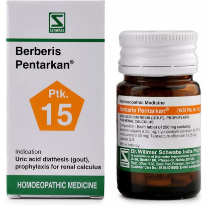 Willmar Schwabe India Berberis Pentarkan (20g) - Golden-Patel Son