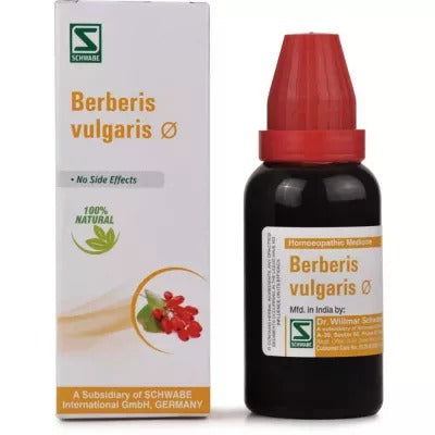 Willmar Schwabe India Berberis vulgaris 1X (Q) (30ml) - Golden-Patel Son
