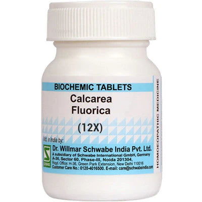 Willmar Schwabe India Calcarea Fluoricum 12X (20g) - Golden-Patel Son