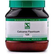 Willmar Schwabe India Calcarea Fluoricum 12X (550g) - Golden-Patel Son