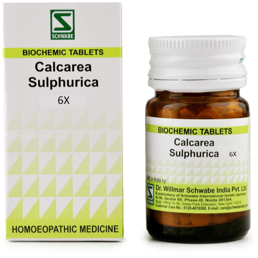Willmar Schwabe India Calcarea Sulphuricum 6X (20g) - Golden-Patel Son