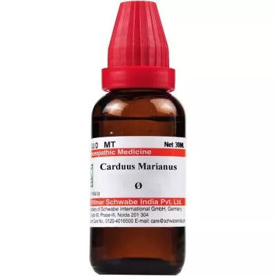 Willmar Schwabe India Carduus Marianus 1X (Q) (30ml) - Golden-Patel Son