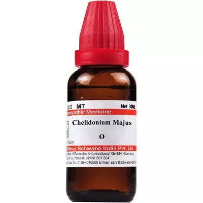 Willmar Schwabe India Chelidonium Majus 1X (Q) (30ml) - Golden-Patel Son
