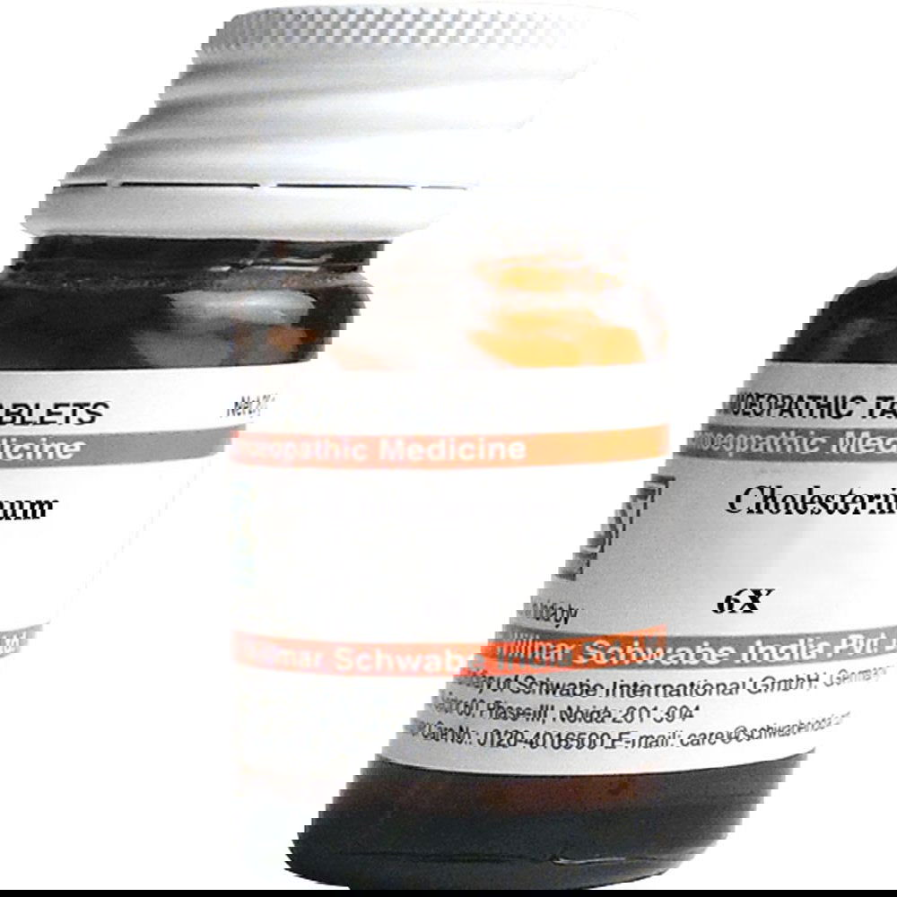 Willmar Schwabe India Cholesterinum 6X (20g) - Golden-Patel Son