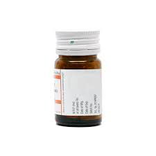 Willmar Schwabe India Cholesterinum 6X (20g) - Golden-Patel Son
