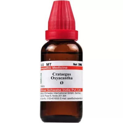 Willmar Schwabe India Crataegus oxyacantha 1X (Q) (30ml) - Golden-Patel Son