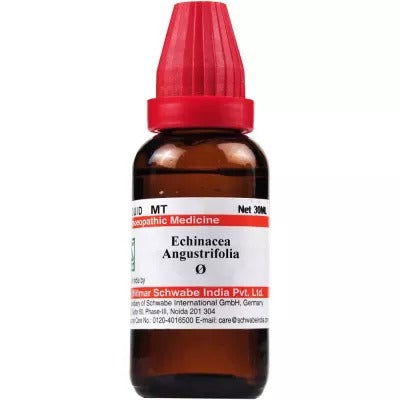 Willmar Schwabe India Echinacea Angustifolia 1X (Q) (30ml) - Golden-Patel Son
