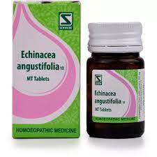 Willmar Schwabe India Echinacea Angustifolia 1X Tablets (20g) - Golden-Patel Son