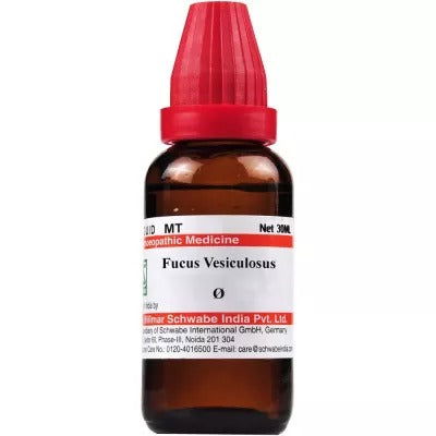 Willmar Schwabe India Fucus Vesiculosus 1X (Q) (30ml) - Golden-Patel Son