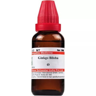 Willmar Schwabe India Ginkgo Biloba 1X (Q) (30ml) - Golden-Patel Son