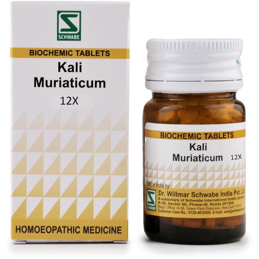 Willmar Schwabe India Kali Muriaticum 12X (20g) - Golden-Patel Son