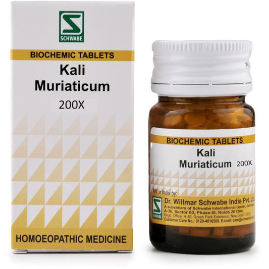 Willmar Schwabe India Kali Muriaticum 200X (20g) - Golden-Patel Son