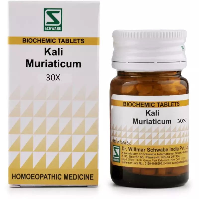 Willmar Schwabe India Kali Muriaticum 30X (20g) - Golden-Patel Son