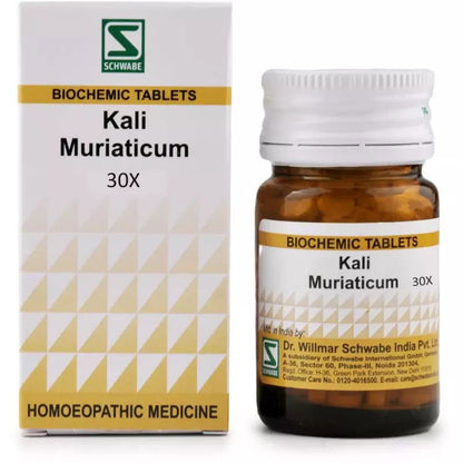 Willmar Schwabe India Kali Muriaticum 30X (20g) - Golden-Patel Son