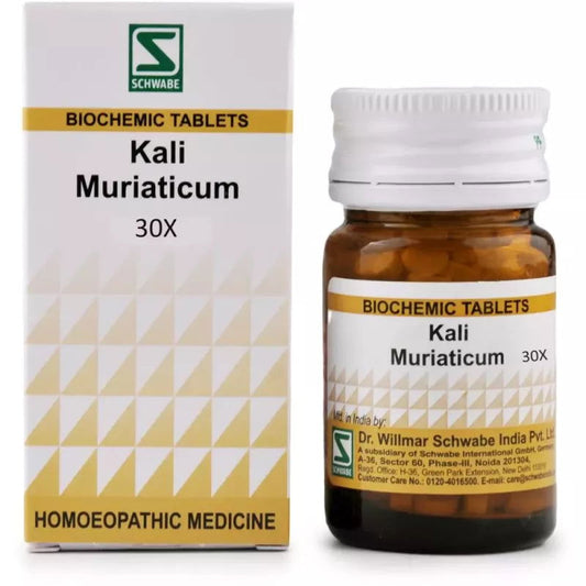 Willmar Schwabe India Kali Muriaticum 30X (20g) - Golden-Patel Son