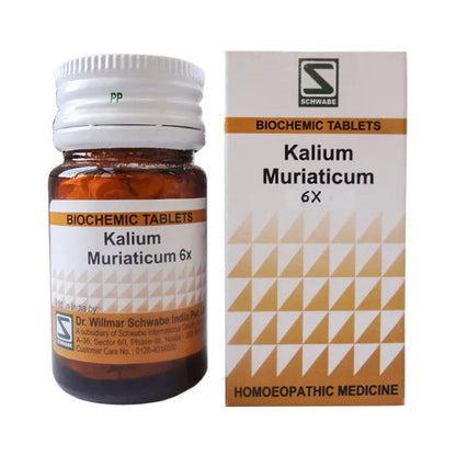 Willmar Schwabe India Kali Muriaticum 6X (20g) - Golden-Patel Son