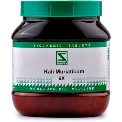 Willmar Schwabe India Kali Muriaticum 6X (550g) - Golden-Patel Son
