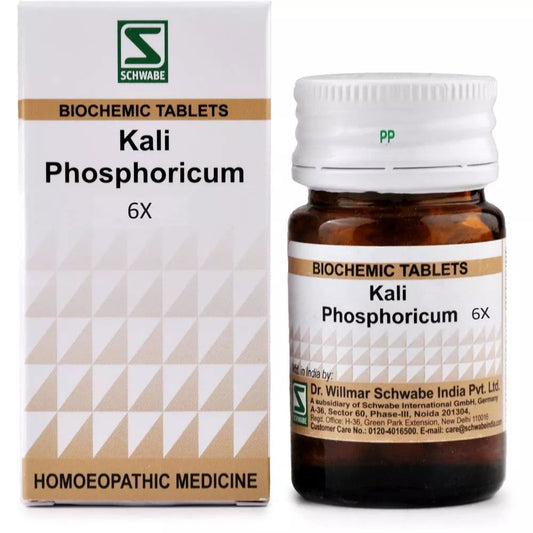 Willmar Schwabe India Kali Phosphoricum 6X (20g) - Golden-Patel Son