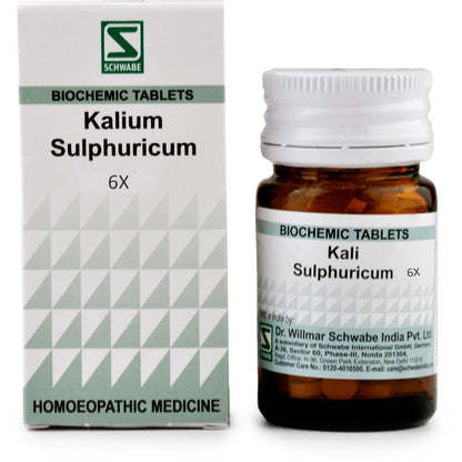 Willmar Schwabe India Kali Sulphuricum 6X (20g) - Golden-Patel Son