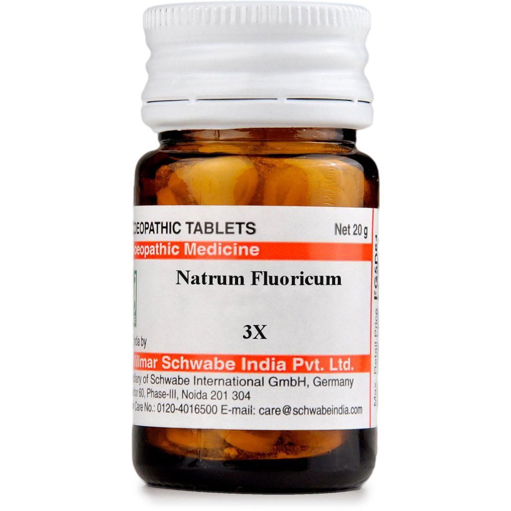 Willmar Schwabe India Natrum Fluoricum 3X (20g) - Golden-Patel Son