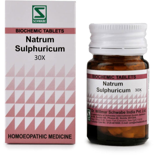 Willmar Schwabe India Natrum Sulphuricum 30X (20g) - Golden-Patel Son